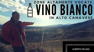 Zone ALTAMENTE vocate per il vino bianco in CANAVESE (Ep.1) | Alberto Milano