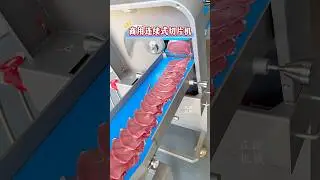 #Commercial multi-functional meat cutter