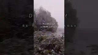 Es kalt und nass #song #snow #winter #travel #life #like #reels #subscribe #video