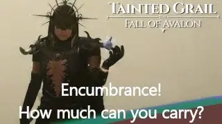Tainted Grail The Fall of Avalon - Inv Carry Limit, Storage, and More!