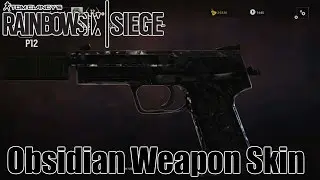 Rainbow Six Siege: How to Get the Obsidian Weapon Skin!