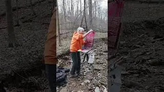 Painting trees, Yellowwood Forest, Brown County, Indiana.