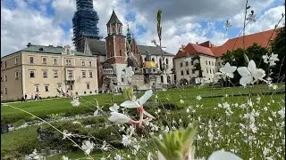 克拉克夫,鹽礦, 奧斯威辛集中營。團長與團員的旅行日記2024年7月27～30日