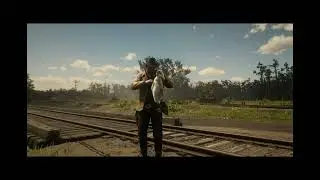 10 Must-Sell Items in Red Dead Redemption 2 for Quick Cash!