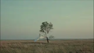 The Final Journey | What Was Found Within