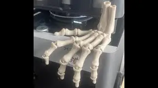 Print in place flexi skeleton hand