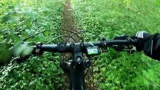 Hometrail Weferlingen Hagholz