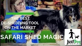 The Best Dog De-Shedding Tool | Safari Shed Magic | Review | Just Dog People