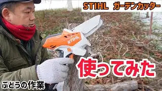 「ぶどうの作業」STIHLガーデンカッター使ってみた！