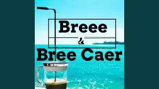 Coastal Morning Serenity Ocean Waves & Seagull Calls Instrumental