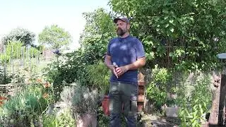 D&eacute;moustication : Comment se prot&eacute;ger du moustique-tigre ?