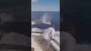 Tragedi Memancing Ikan Marlin. Ikan tercepat di bumi