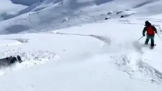 dog running on snow ❄️❄️