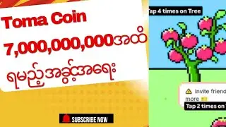 The latest tomarket update. How to claim toma coin?