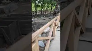 open coffins above ground at MADAWJAW DUR (graveyard), KALash, chitral, kpk, Pakistan