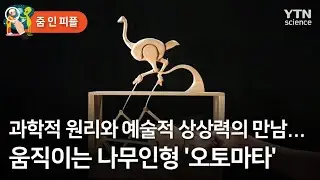 [줌 인 피플] 과학적 원리와 예술적 상상력의 만남…움직이는 나무인형 '오토마타' / YTN 사이언스