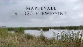 Is Marievale Still Worth Birding in 2025? | The Truth About Water Levels