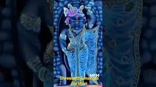 #shreenathji #mangla #darshan #god #beautiful #ambose #art #temple #handpainted #woodworking