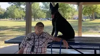 Ogden Utah Dog Training | Salt Lake City Dog Training | &ldquo;It's Been Great