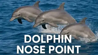 Dolphin Nose Point..........🐬🐬🐬