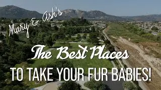 Temecula's Best Pet friendly  Wineries, Restaurants, Dog Parks & More!