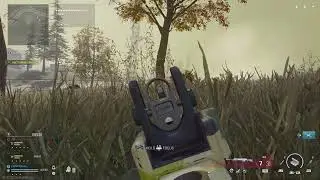 Bush ninja