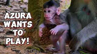 Mama&rsquo;s Sweet Baby Azura Can&rsquo;t Stop Playing!,@monkeyscorner
