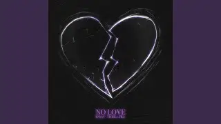 NO LOVE