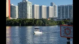 Living in Sunny Isles Beach, FL: The Ultimate Local Guide | Homes.com
