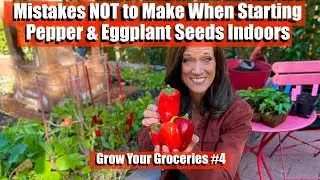Mistakes NOT to Make When Starting Pepper & Eggplant Seeds Indoors / Grow your Groceries #4 🫑🌶🍆