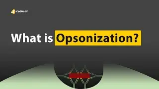 What is Opsonization? | Immunology Made Easy for Students | V-Learning&trade;