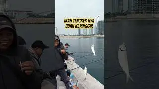 terkini dam ijo muara baru Minggu 14 sep #shrots #fypmancing #mancingceria #fishing