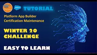 Platform App Builder Certification Maintenance (Winter '20)