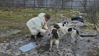 Cold, Mud, and Empty Bellies&hellip; Their Last Hope Was in a Container