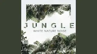 Deep Jungle - Be at One with Nature