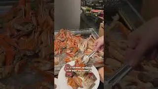 seafood AYCE buffet in Brisbane!🐟 #tenya #brisbanefood #brisbanecbd #brisbanebuffet #seafood #bne