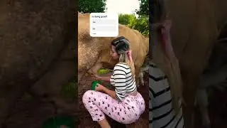 #music #love #trending #viral #iran #trump