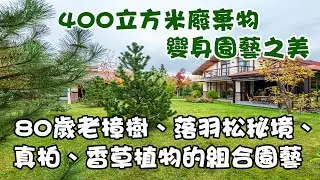 400立方米廢棄物變身園藝造景之美-80歲老樟樹、落羽松秘境、真柏、香草植物的組合園藝  富臨園藝 @FuLinHorticulture