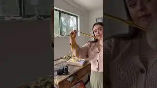 Советы по предметной фотосъемке для художников💛#искусство
