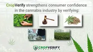 CargoChain Partners with FileVision to Launch CropVerify &mdash; A &ldquo;Seed-to-Sale&rdquo;  Tracker for Cannabis