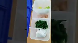 Multipurpose Plastic 4 In 1 Masala Box for Kitchen | Small Storage Box For Kitchen #kitchengadgets