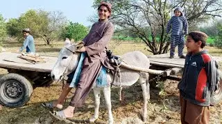 pathan boy interview Punjabi Style Mian || village life | Pakistani Rural Punjab