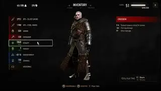 The Witcher 3 My Max Ursine armor build