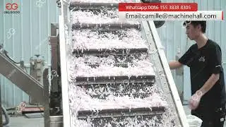 Fried Onion Rings Production Line