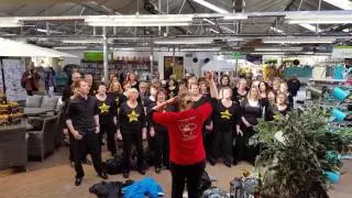 Sidmouth Rock Choir Flashmob @ Wyevale Garden Centre