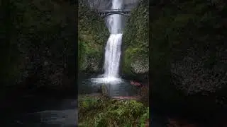 Let the Waterfall Wash Away Your Stress #calmmusic #meditationmusic #naturesoundscape