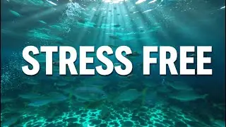 Relaxing Piano Music with Peaceful Fish 🐠 Deep Sleep, Stress Relief & Calm Underwater Ambience