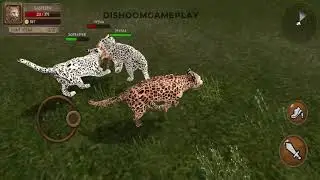 Ultimate Leopard Simulator - Leopard Vs Lion, Tiger, Hyena, Jaguar, Cheetah, Monkey, Crocodile #4