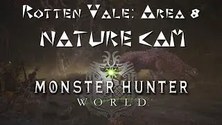 MHW: Rotten Vale Area 8 Nature Cam