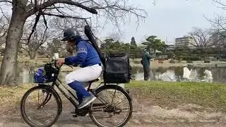(Live) Feeding Japanese crane at Sumiyoshi Park in Osaka